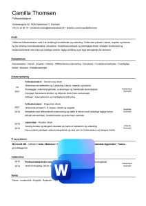 Eksempel på CV skabelon til en lærer uden billede i Word - download gratis her